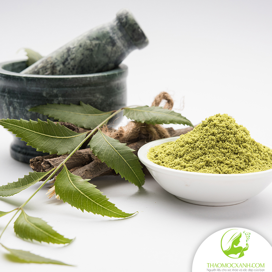 công dụng của lá neem với sức khỏe